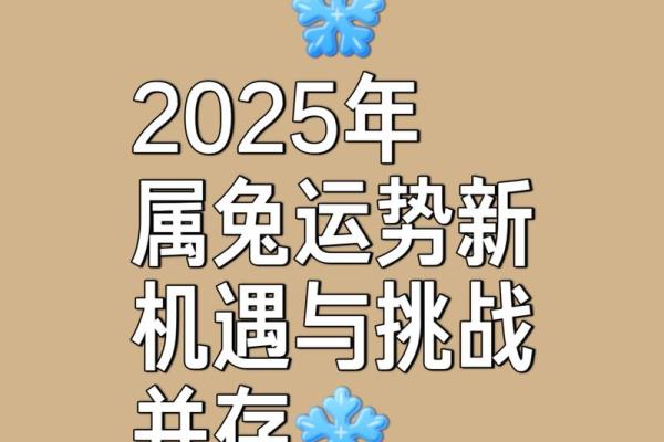 属兔的人2025年运势及运程详解_属兔人2025运势及运程详解