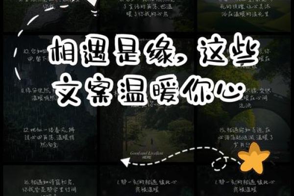 缘分让我们相遇 缘分让我们相遇的文案