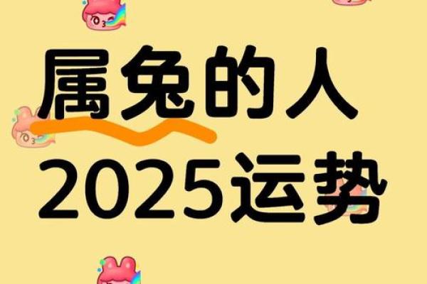 1975年属兔2025年财运解析机遇与挑战并存