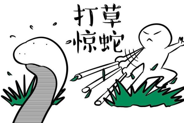 打草惊蛇是什么生肖