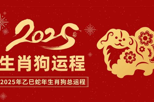 2022年属狗人的全年运势