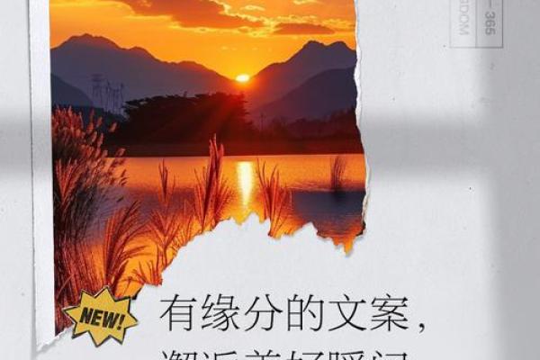 盘点突如其来的缘分_盘点突如其来的缘分那些不期而遇的美好瞬间