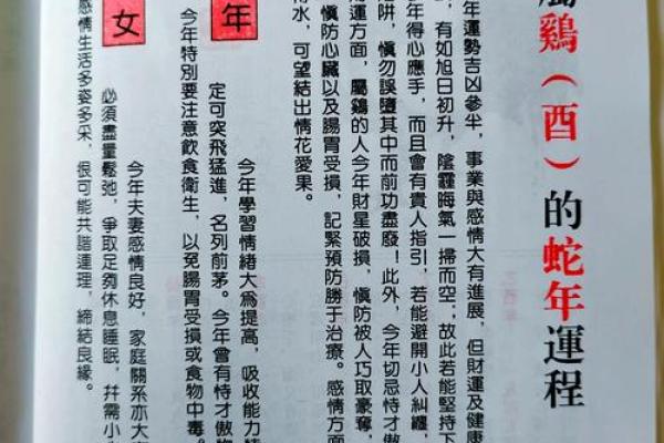 1981年属鸡男2025年运势完整版_1981年属鸡男2025年运势详解事业财运全解析