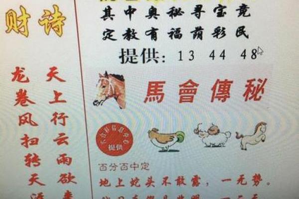 有备无患打一生肖