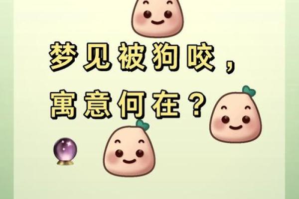 梦见狗是什么意思有什么预兆