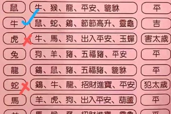 白日做梦是指什么生肖