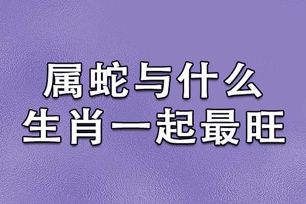 属蛇跟属狗的姻缘怎么样_蛇和狗是冲还是合