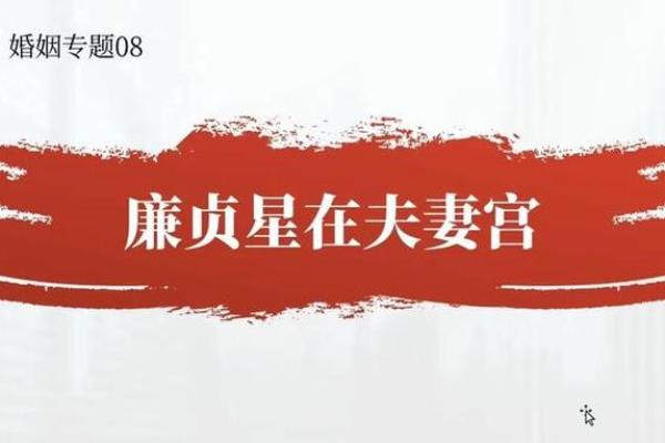 夫妻宫廉贞自化忌_夫妻宫廉贞自化忌看婚姻大限