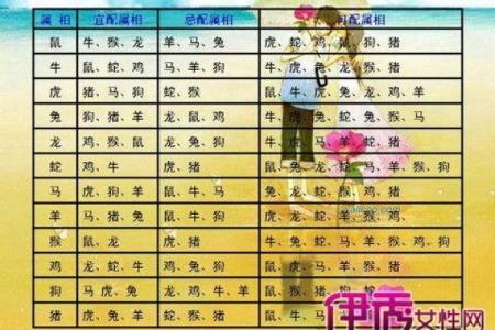 1993年12月属鸡是什么命 1993年12月属鸡命运解析运势性格与未来展望