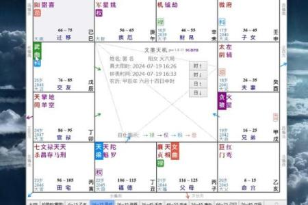 飞星紫微斗数全书_紫微斗数飞星详解