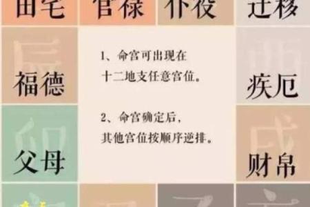 财帛宫是夫妻宫的夫妻宫_财帛在夫妻宫