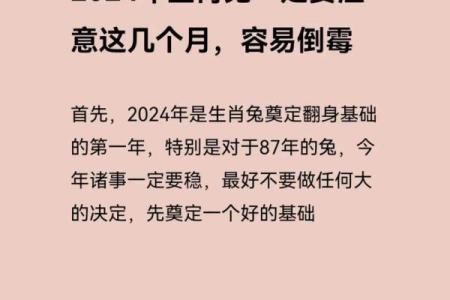 1975年属兔人2025年运势详解财运事业感情全解析