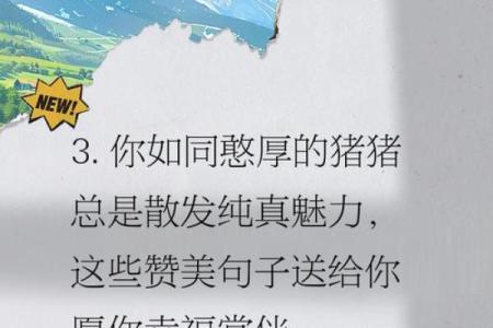 属猪54岁有个大灾女_属猪54岁女性如何化解大灾专家支招