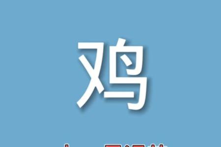 1981属鸡43岁以后运气 81年属鸡一生三大劫难