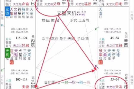 夫妻宫化权入十二宫 夫妻宫化权真的以配偶为贵