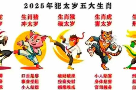 2007年属猪2025年运势详解运程预测与吉凶分析