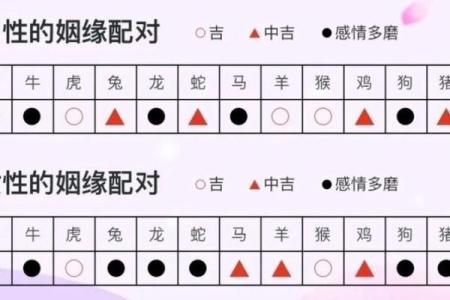 二零零零年属龙的姻缘 2000年龙女最佳婚配表