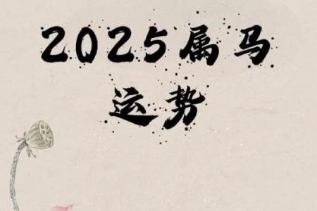 2025年属马人春节幸运色指南开运颜色助你龙年大吉