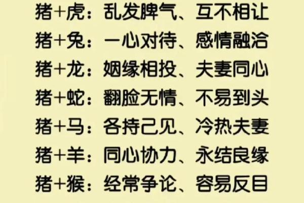 前生注定是姻缘什么生肖 前生注定是姻缘的生肖有哪些揭秘命中注定的生肖配对