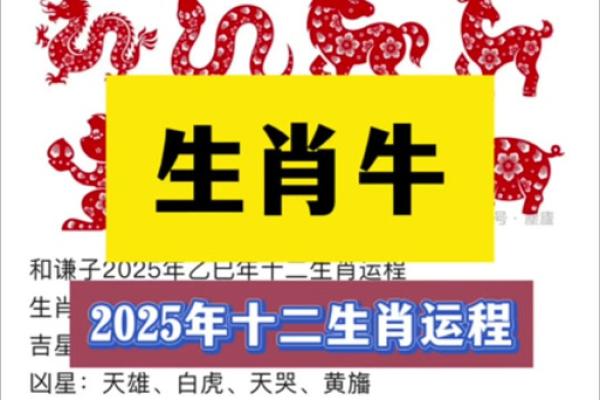 属龙人2025全年运势_2025年属龙的运势及运程1988 属龙人2025全年运势_2025年属龙的运势及运程1988
