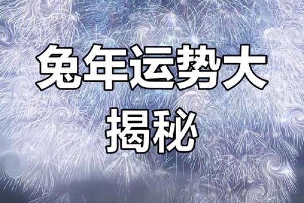 2026年属兔人全年运势详解财运事业感情全解析