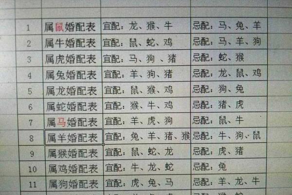 属狗和属鸡的婚配好不好_属狗的和属鸡的婚姻合吗