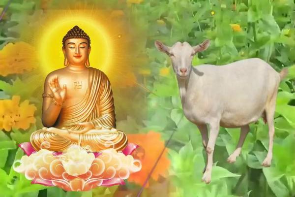 91年男属羊的和什么属相最配 1991属羊一生三大劫难