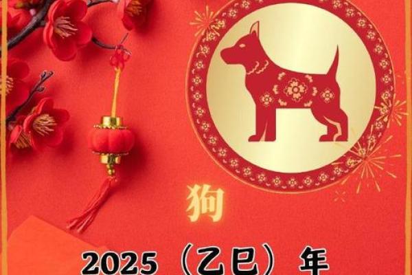 2025年属狗的贵人属相揭秘谁是你的最佳助力 2025年属狗的贵人属相揭秘谁是你的最佳助力