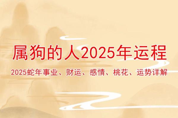 2025生肖狗运势 属狗2025年每月运势及运程