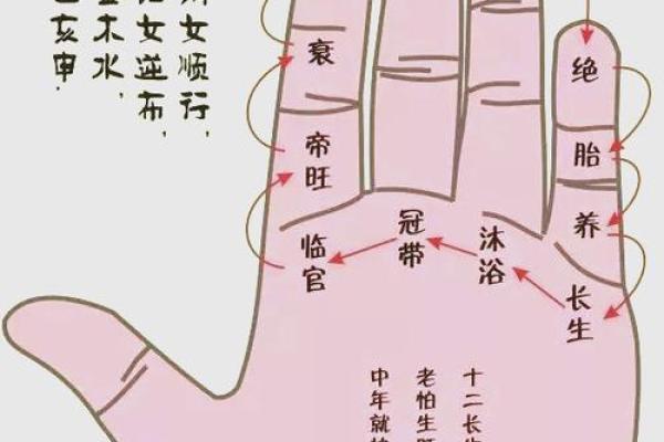 夫妻宫天月解析婚姻运势与命理奥秘