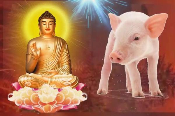 83年属猪多大_83年属猪今年多大2023年属猪人年龄详解