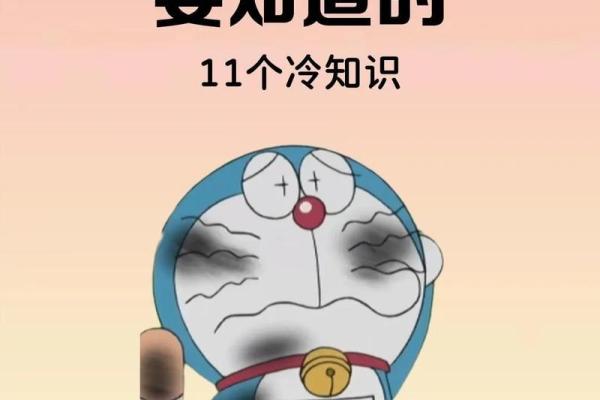 搬家最晚不超过几点