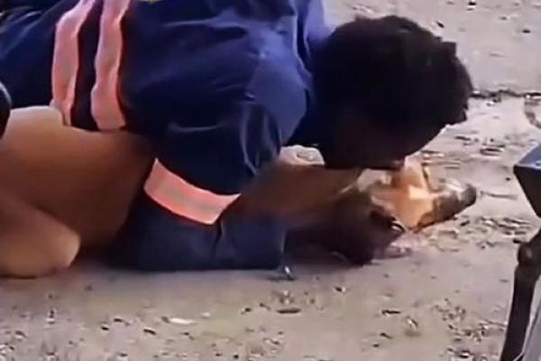 男人梦见狗咬是吉兆