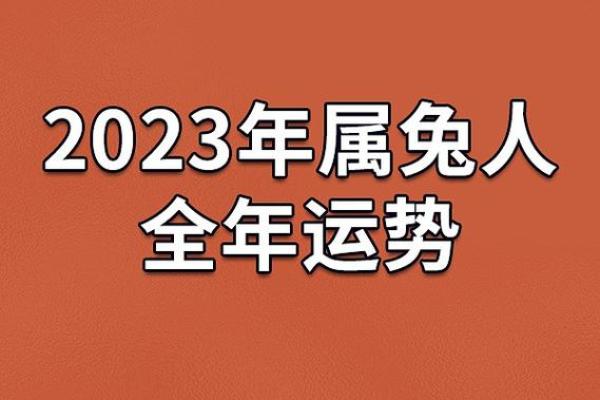 1987属兔37岁以后运气_1987属兔37岁后运势解析未来十年运程大揭秘