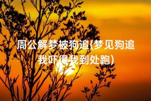 梦到狗是什么征兆 女性