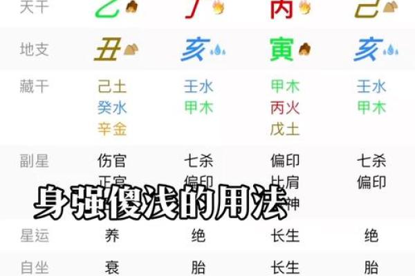 免费四柱八字排盘测算精准解析你的命运密码