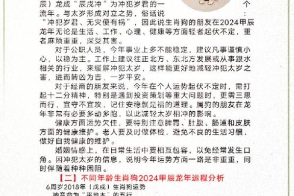 属猪人2024年全年运势及运程_2025年属猪人每月运势