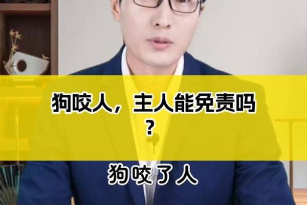 女人梦见狗咬手是吉兆