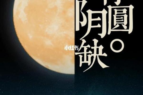 缺月再圆是什么生肖