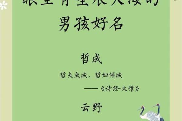大智大勇是什么生肖(大智大勇是什么生肖刚刚揭秘落实)