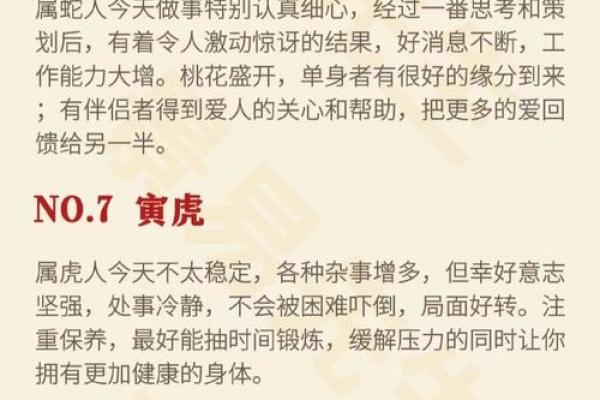 朝阳似火是什么生肖