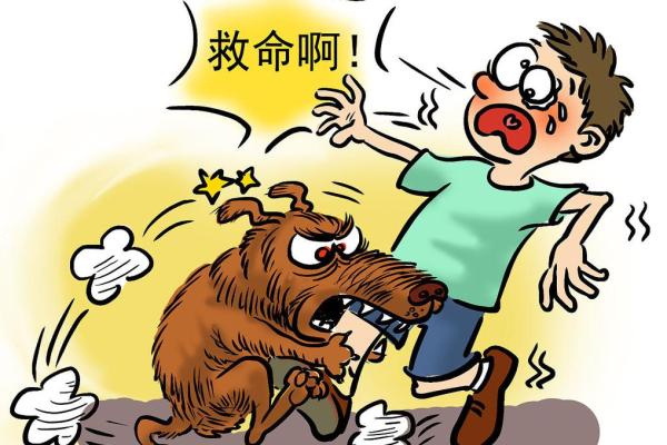 梦见被自己的狗咬了预示着什么