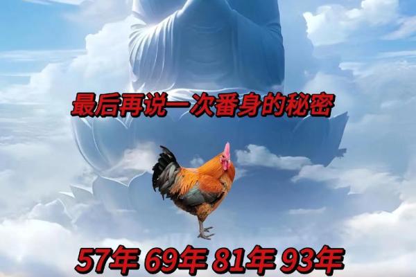 69年属鸡2025年多少岁_69年的鸡2021年几岁 69年属鸡2025年多少岁_69年的鸡2021年几岁