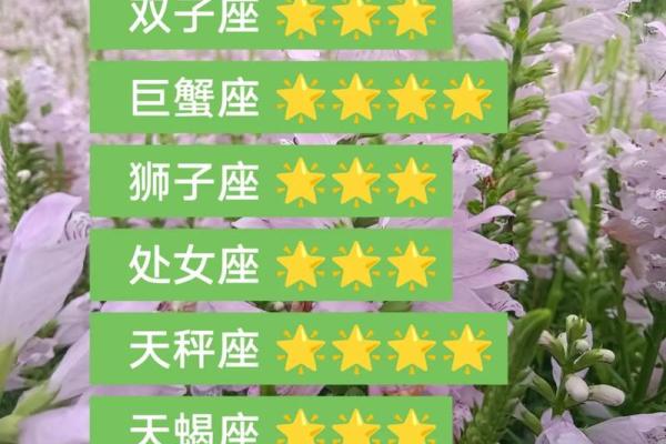 2025年3月白羊座运势 白羊座第一星座网今日运势