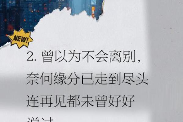 缘分尽了 缘分尽了如何优雅地告别与重新开始 缘分尽了 缘分尽了如何优雅地告别与重新开始