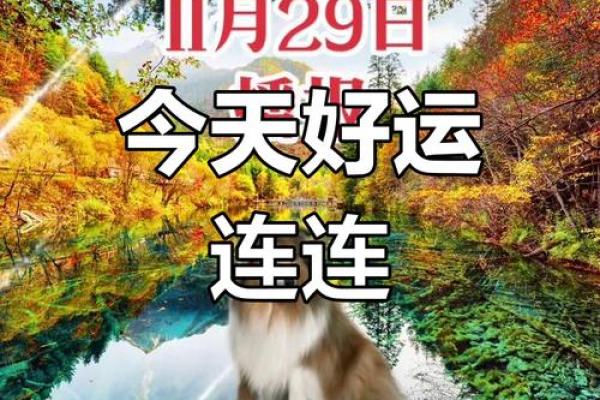 1982年属狗今天财运_1982年属狗今天财运如何