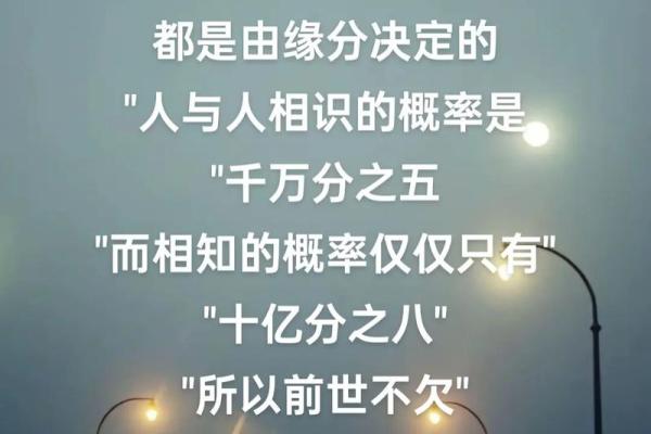 缘分的成语_缘分的成语揭秘命中注定的奇妙联系
