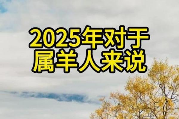 1979年男2025年属羊男全年运势_1979年属羊人2025年运势及运程