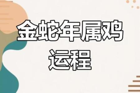 属鸡人蛇年运势2025_2025年1981属鸡的运势及运程