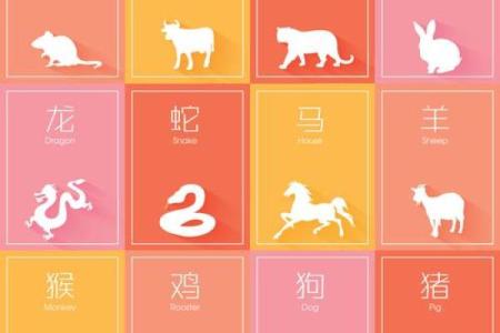 日落西山鸡入窝指什么生肖(日落西山猜一肖)